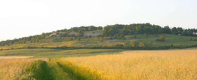 Pohled na vrch Oškobrh